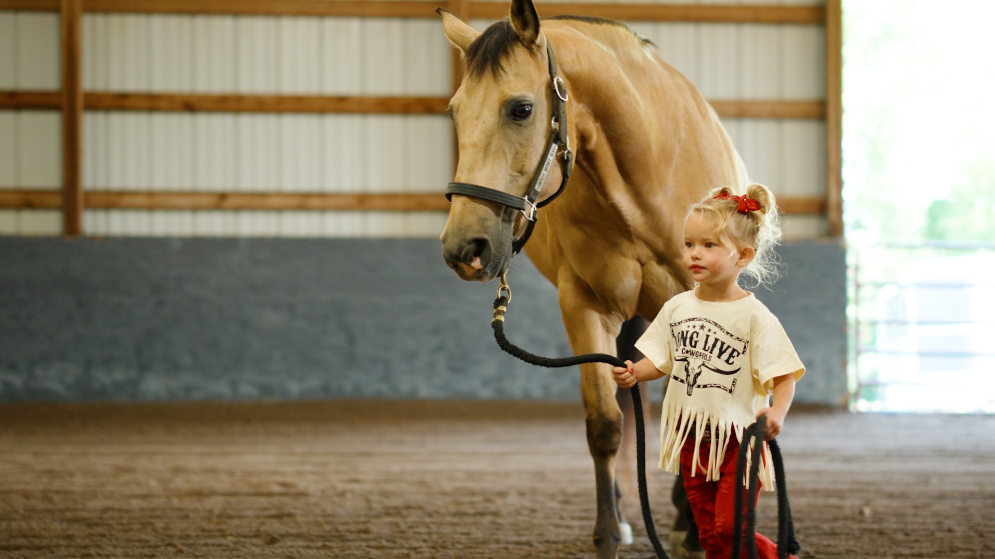 A young rider leading a horse in the arena